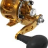 Avet SXJ G2 5.3 MC Single Speed Reel Gold