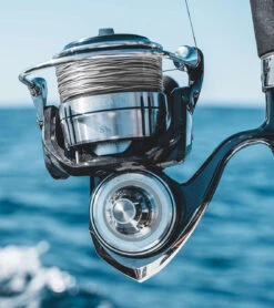 Daiwa Certate SW Spinning Reels -Fishing Sale Store daiwa certate sw spinning reels 63585.1651409087