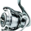 Daiwa Exist G LT Spinning Reels