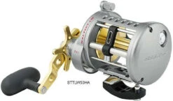 Daiwa Saltist Levelwind A Reels -Fishing Sale Store daiwa saltist levelwind a reels 38721.1650807939