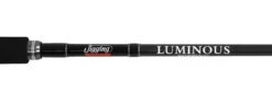 Jigging World Luminous Popping Rods -Fishing Sale Store jigging world luminous popping rods 30297.1680784547