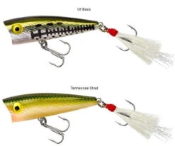 Rebel P50 Teeny Pop-R 2in -Fishing Sale Store rebel p50 teeny pop r 2in 18331.1651013318