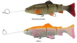 New Products -Fishing Sale Store savage gear pre rigged 3d line thru trout lures 89082.1650821678