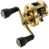Shimano Calcutta Conquest MD Baitcasting Reels