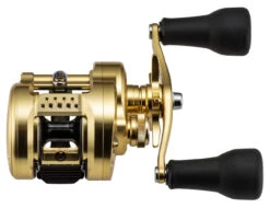 Shimano Calcutta Conquest MD Baitcasting Reels -Fishing Sale Store shimano calcutta conquest md baitcasting reels 25316.1674255441