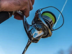 Shimano Stradic FL Spinning Reels -Fishing Sale Store shimano stradic fl spinning reels 33628.1651246853