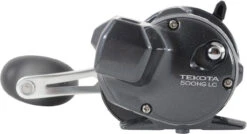 Shimano Tekota Levelwind Conventional Reels -Fishing Sale Store shimano tekota levelwind reels 26874.1651006806
