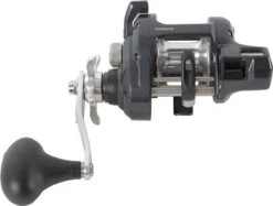 Shimano Tekota Levelwind Conventional Reels -Fishing Sale Store shimano tekota levelwind reels 32731.1651006806