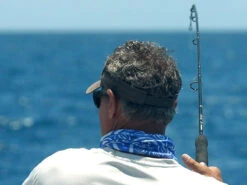 Shimano Terez Conventional Rods 9 Shimano Terez Conventional Rods -Fishing Sale Store shimano terez conventional fishing rods 83511.1661538644